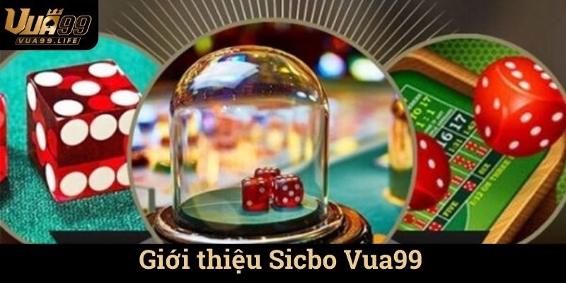 Giới thiệu về Sicbo Vua99