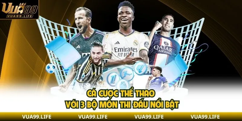 Cá Cược Thể Thao VUA99 - Lý Do Chọn Và Các Bộ Môn Hấp Dẫn