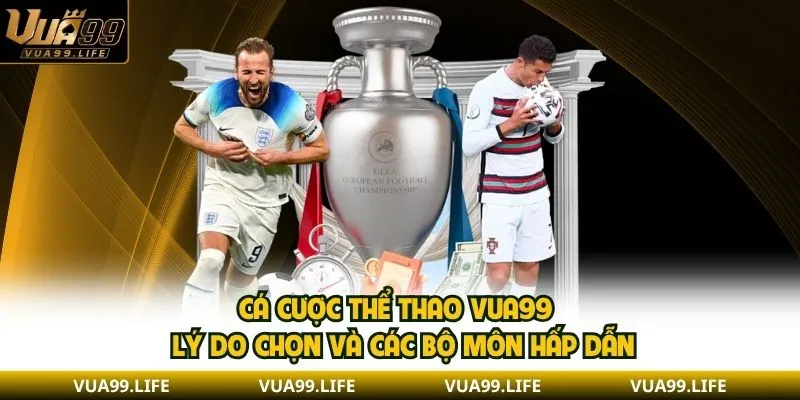 Cá cược thể thao với 3 bộ môn thi đấu nổi bật