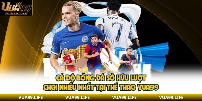 Cá độ bóng đá sở hữu lượt chơi nhiều nhất tại thể thao VUA99 