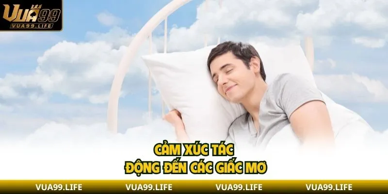 Cảm xúc tác động đến các giấc mơ