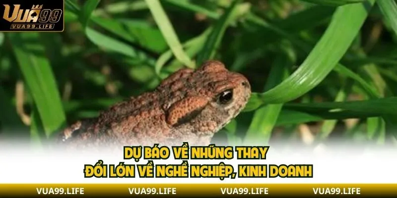 Mơ Thấy Cóc| Giải Mã Ý Nghĩa Điềm Báo Tài Lộc May Mắn 3 Dự báo về những thay đổi lớn về nghề nghiệp, kinh doanh