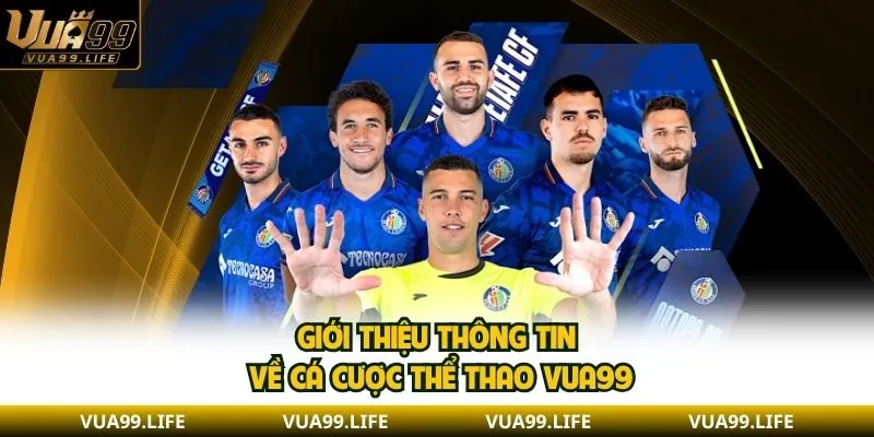 Giới thiệu thông tin về cá cược thể thao VUA99