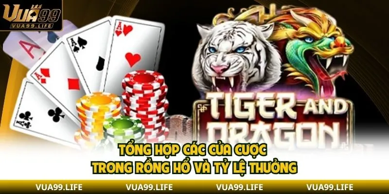 Quy Tắc Chơi Bài Rồng Hổ Cơ Bản Và Các Cửa Cược Chính 3 Tổng hợp các cửa cược trong Rồng Hổ và tỷ lệ thưởng